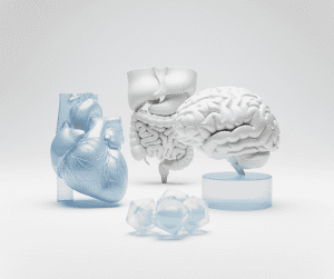 Medical application fields supported by Nexinlife devices, including heart and brain models.