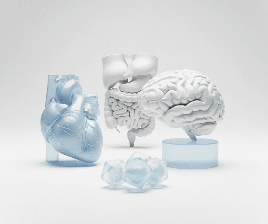 Medical application fields supported by Nexinlife devices, including heart and brain models.